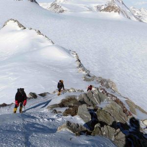 new-highs-vinson-1