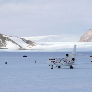 ale_46206384579_1