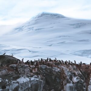 james-eades-3eFEYj1wAhY-unsplash